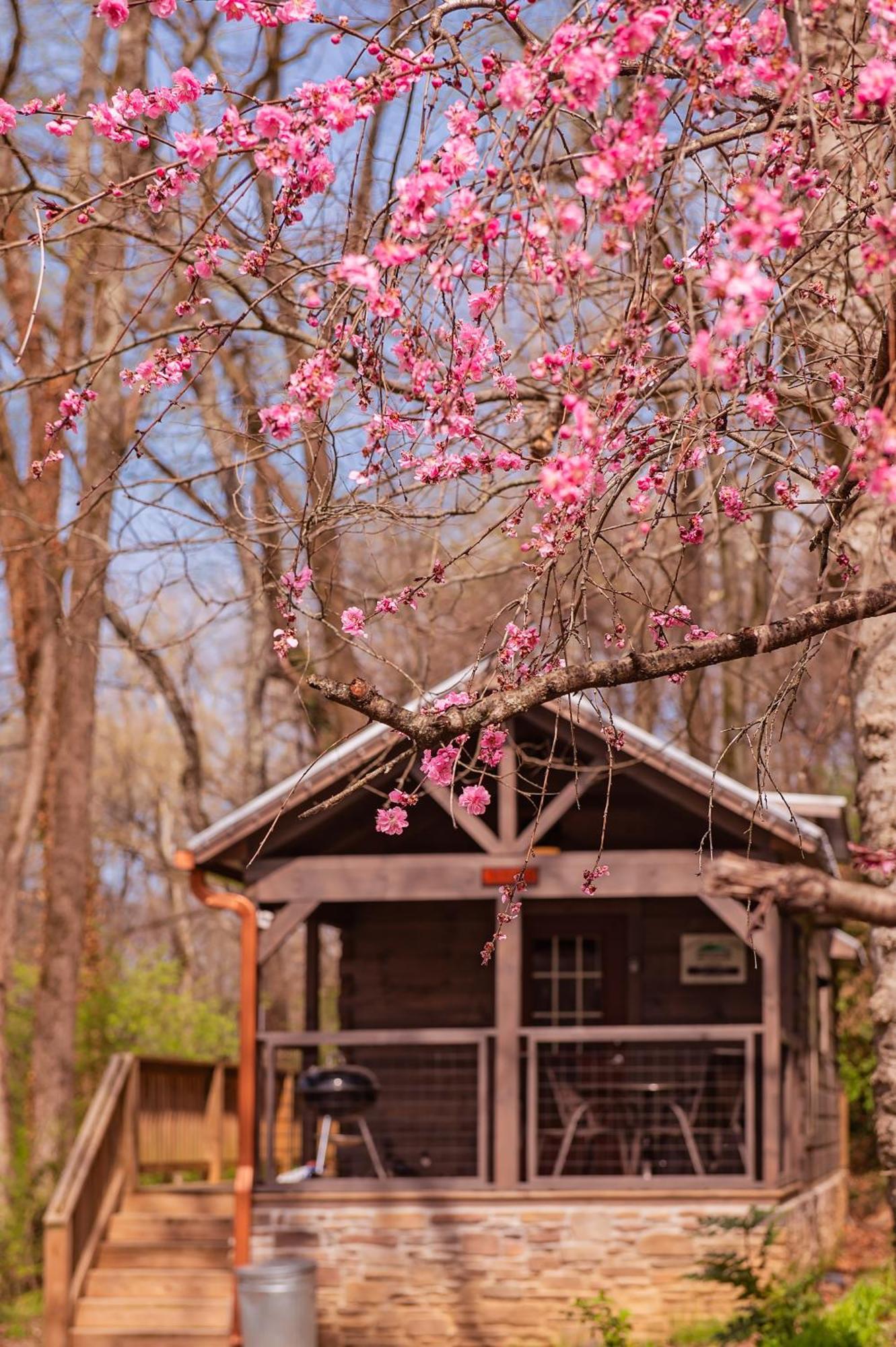 Ryon Tiny Home Cabin City-Side Rustic Retreat Chattanooga Exterior photo